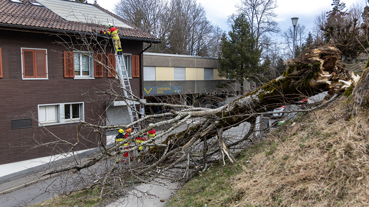 Freiwillige Feuerwehr Stadt Zug Nr Umgest Rzte B Ume