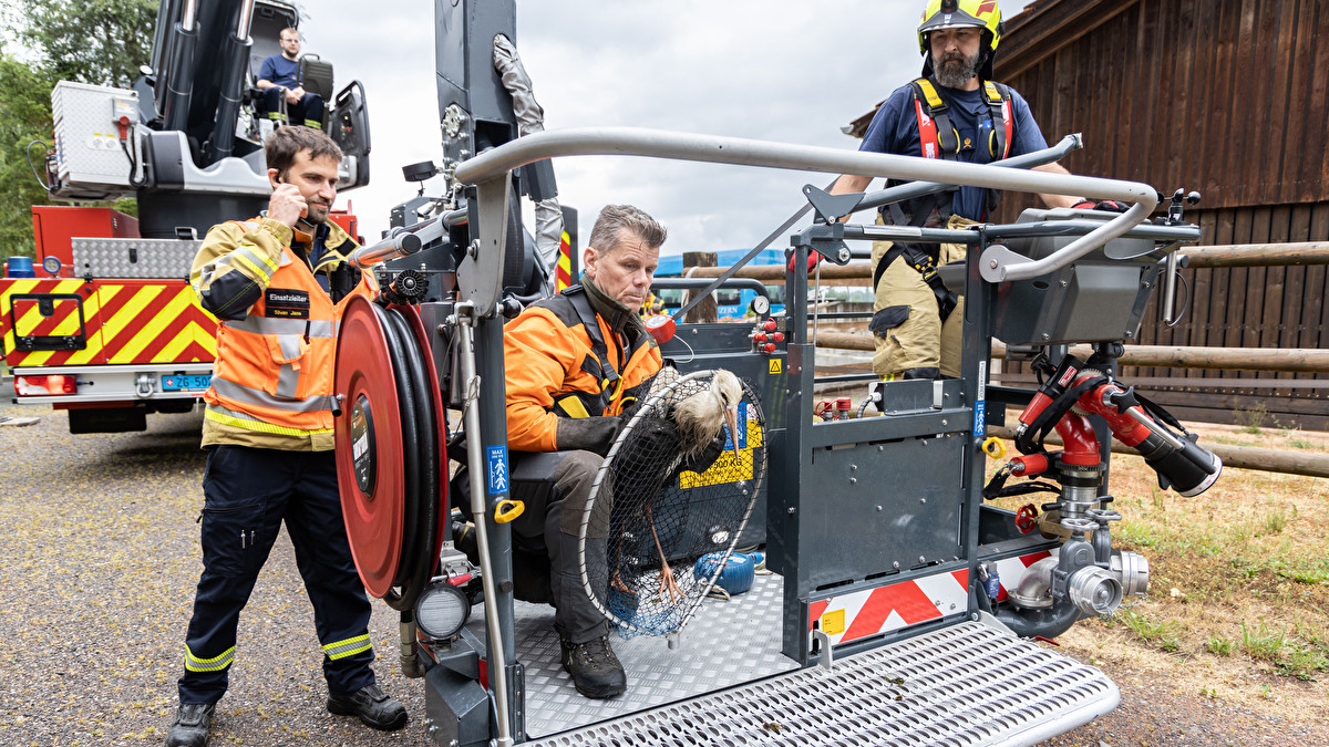 Freiwillige Feuerwehr Stadt Zug Nr Storchenrettung