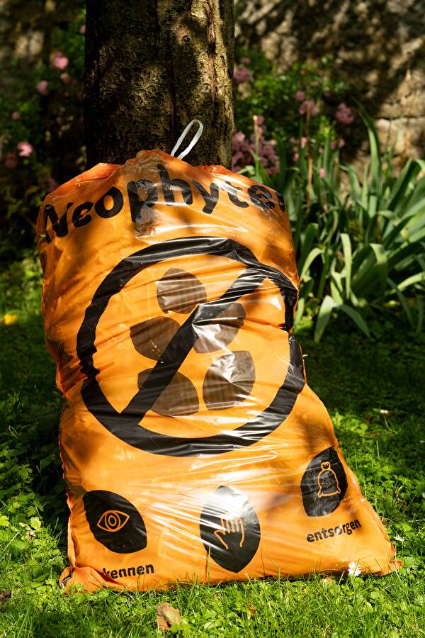 Bild: Neophytensack ©Angel Sanchez