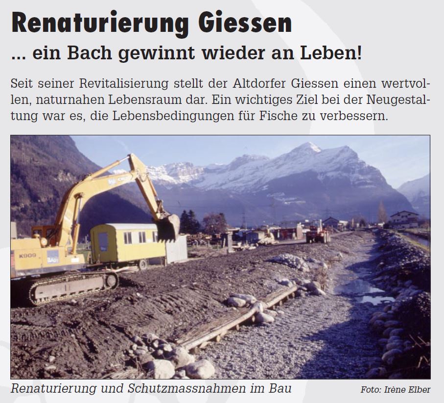 6_Einblick_Renaturierung_mit_Fischunterstand.JPG