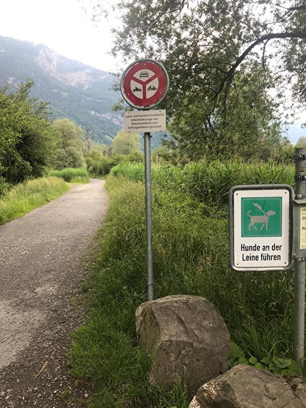 Gemeinsame Kontrolle im Urner Reussdelta