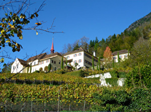 Kapuzinerkloster Altdorf mit Rebberg Rosenberg