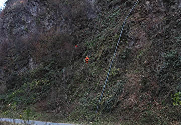 Die Gehölzpflege entlang der Bristenstrasse ist eine wichtige Schutzmassnahme. Bild Baudirektion Uri