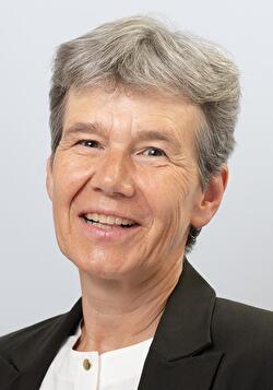 Steffen Frieda