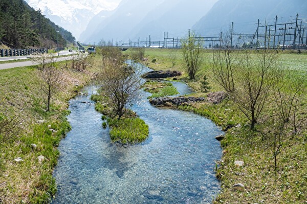 Der renaturierte Walenbrunnen weist reichlich Windungen und vereinzelte Verzweigungen mit kleinen Inseln auf. (Foto: Valentin Luthiger, Altdorf) 
