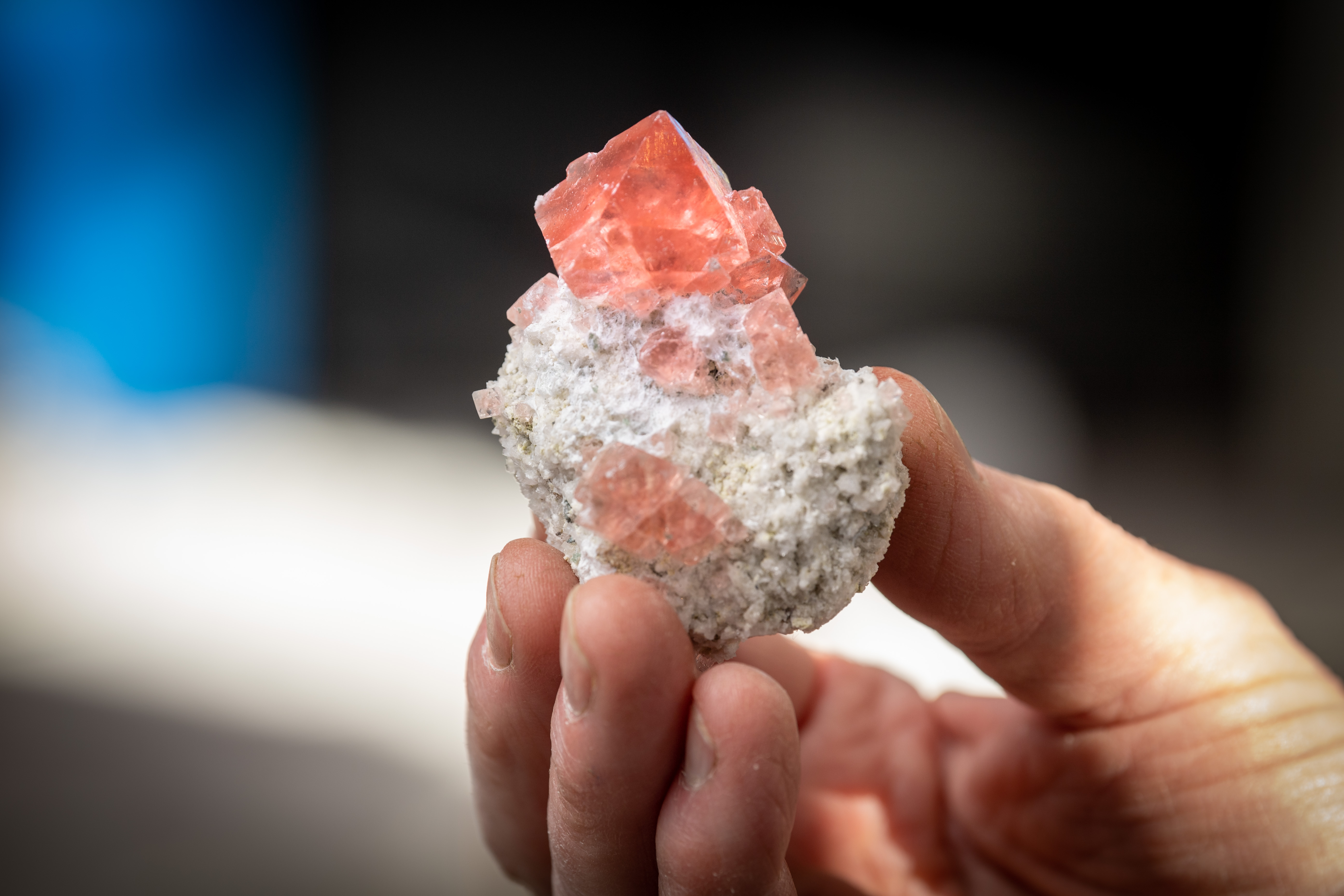 Ein Rosafluorit, der im Stollen der 2. Gotthardröhre geborgen wurde. Herausragend ist die Transparenz des rosa gefärbten Kristalls.