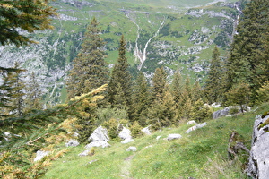 Rostpilz