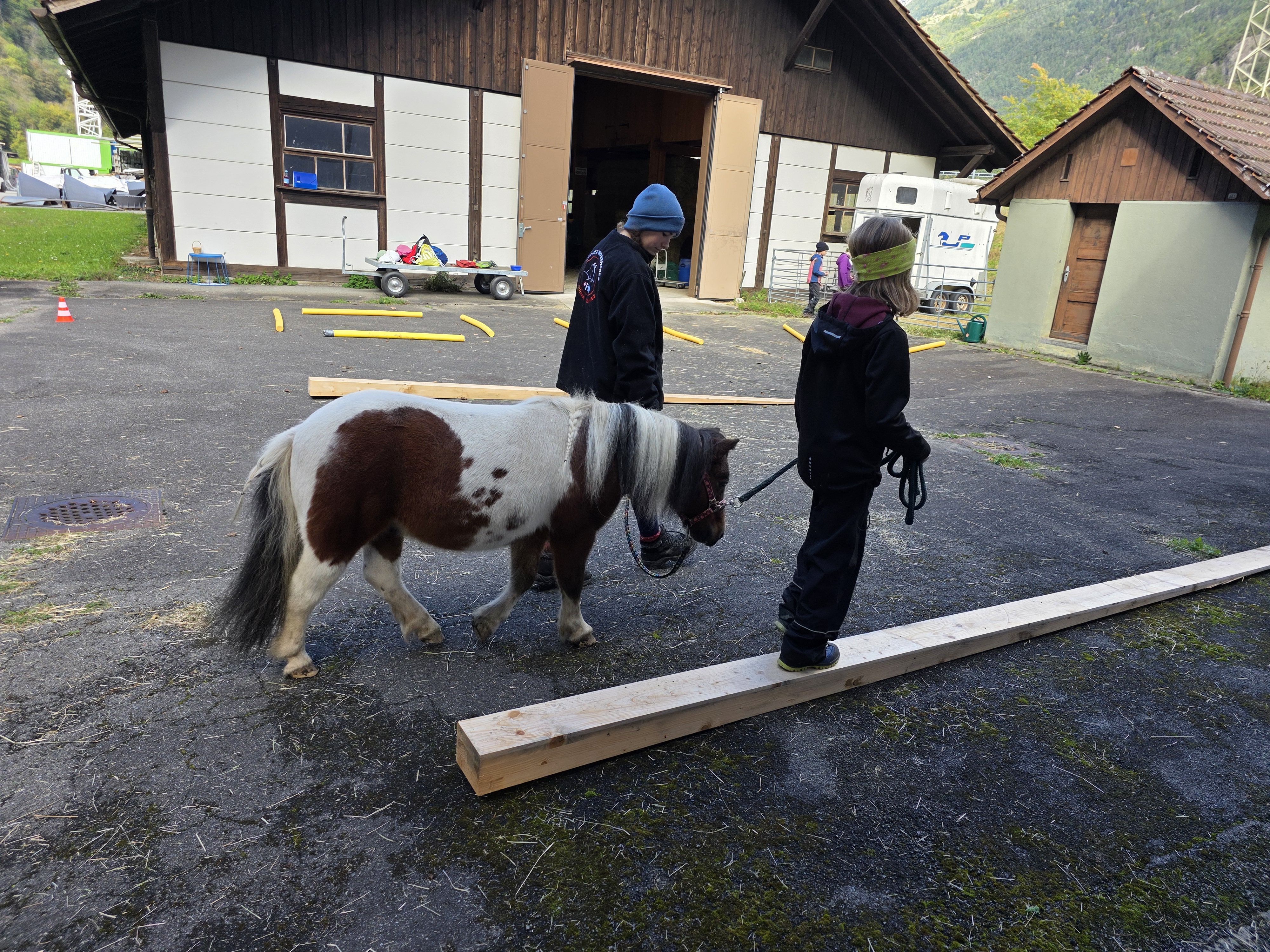 Sportpass_Pony