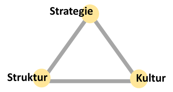 Organisationsdreieck