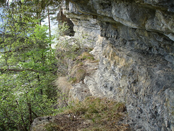 Scheidnössli