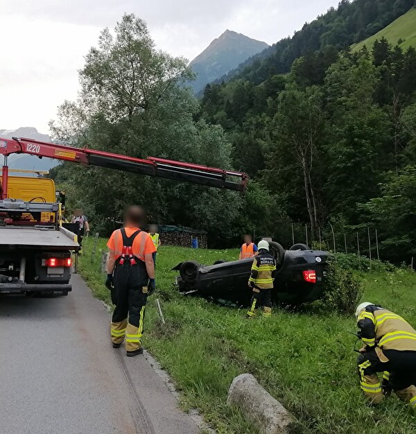 Selbstunfall wegen Tier