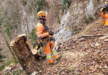 Die Kontroll- und Felsräumungsarbeiten sind anspruchsvoll und dienen der Verkehrssicherheit. Bild Amt für Betrieb Nationalstrassen