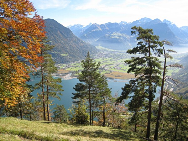 Der Urner Wald und die Holzverwendung haben ein grosses Potential zur CO2-Senkung. (Bild Amt für Forst und Jagd)