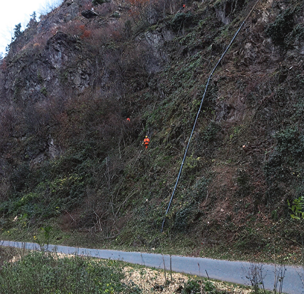 Die Gehölzpflege entlang der Bristenstrasse ist eine wichtige Schutzmassnahme. Bild Baudirektion Uri