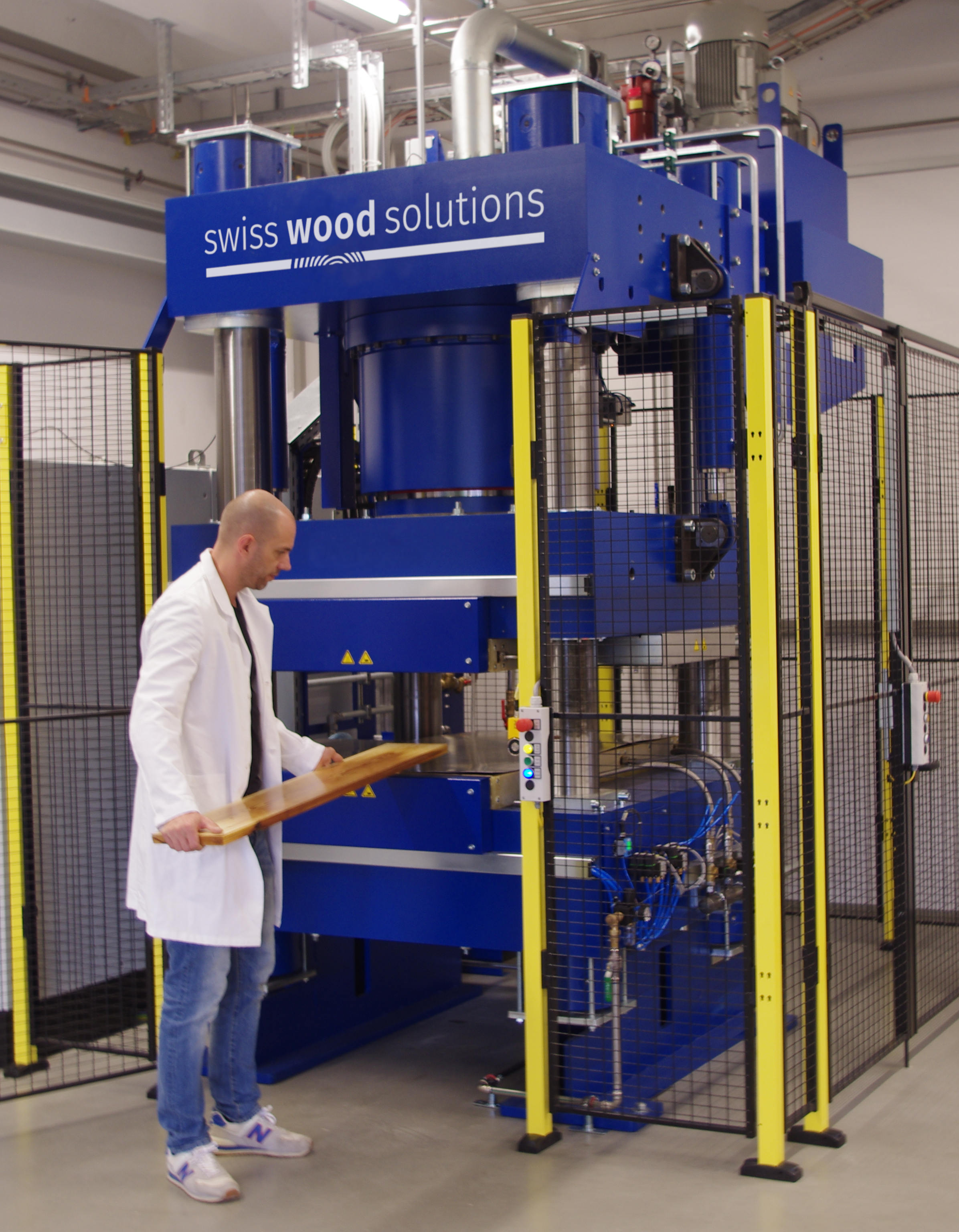 Holzmodifikation