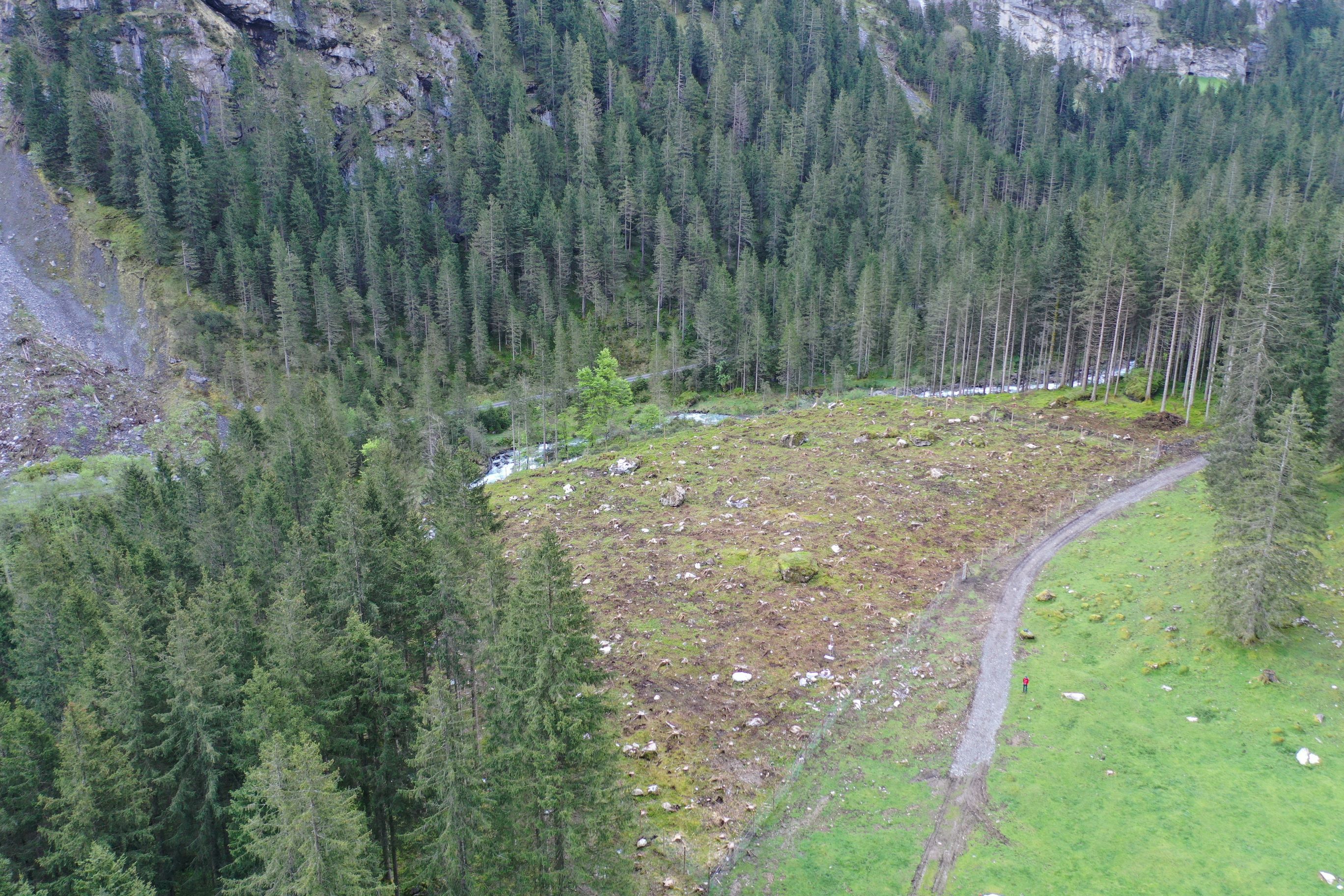 Testpflanzungsfläche