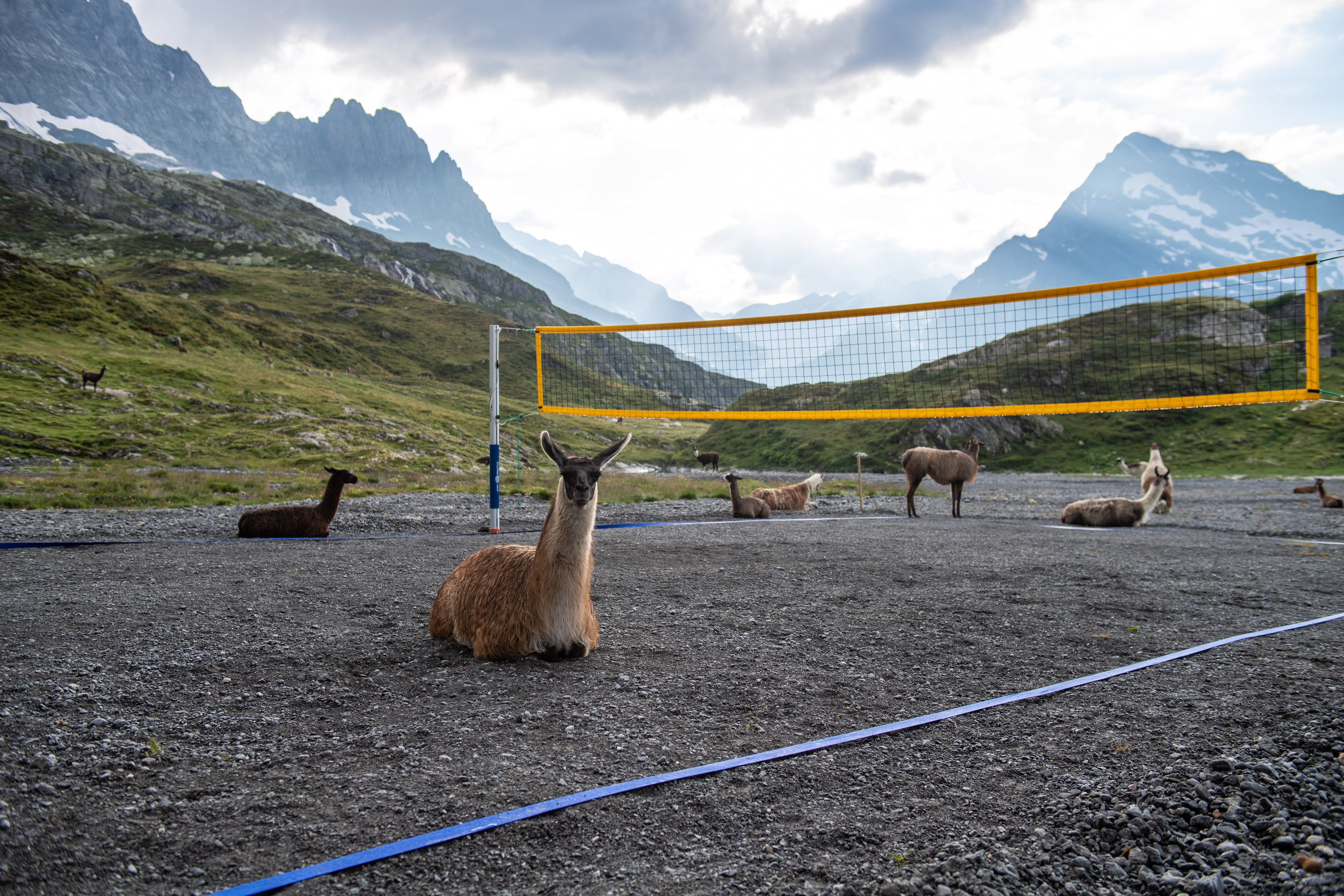 Lamas Windgällenhütte