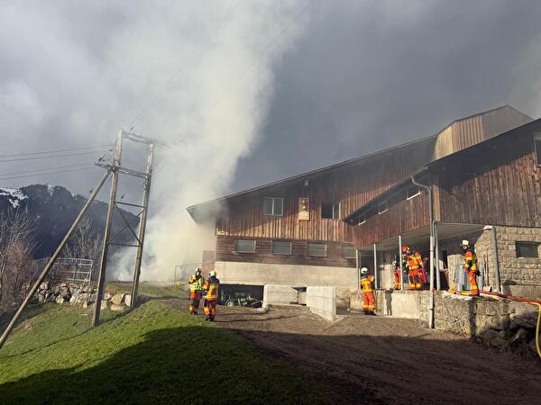 Brand eines Stallgebäudes – zwei Personen verletzt