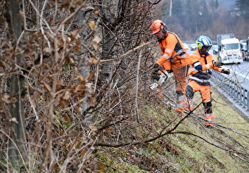 Gehölzpflege entlang der Autobahnen A2 und A4
