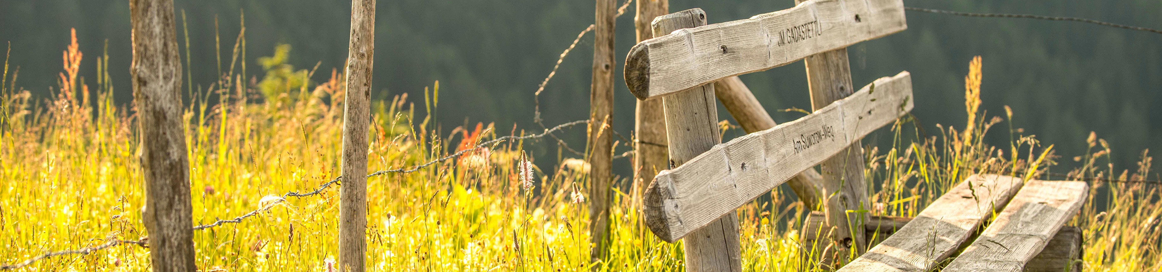 Holzbank an einem Berghang