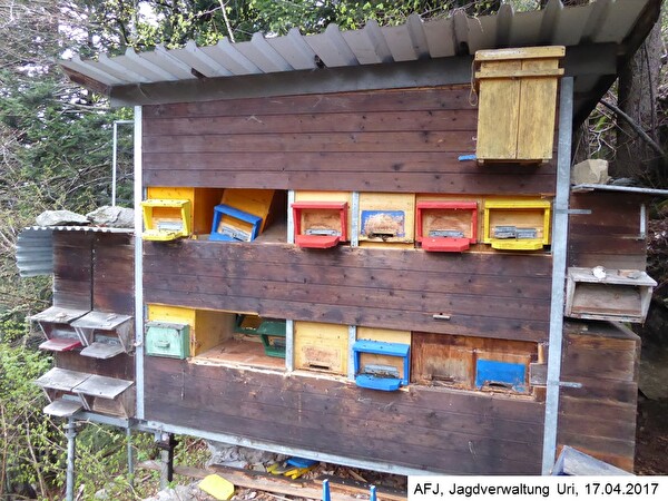 Schaden Bienenhaus Silenen