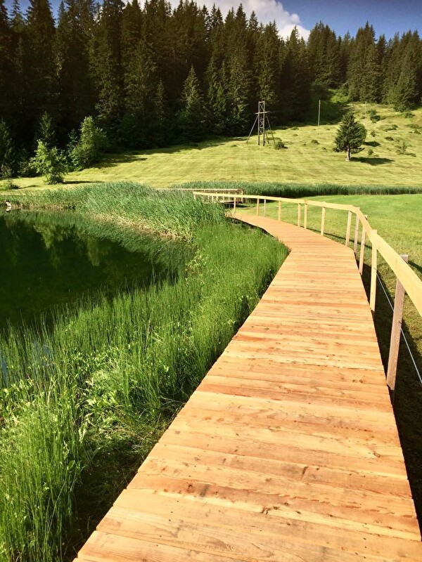 Der neue Holzsteg