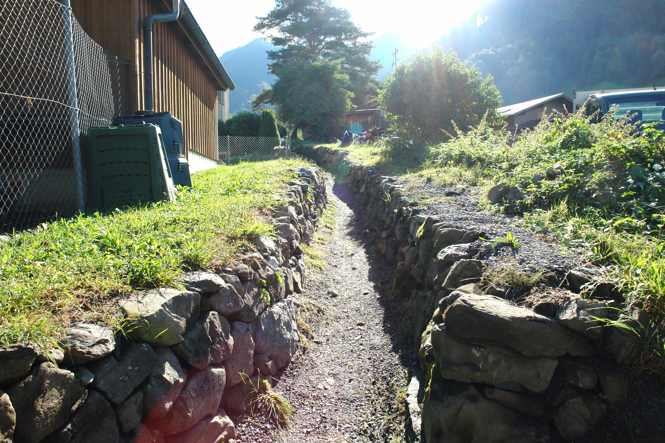 Bümausa