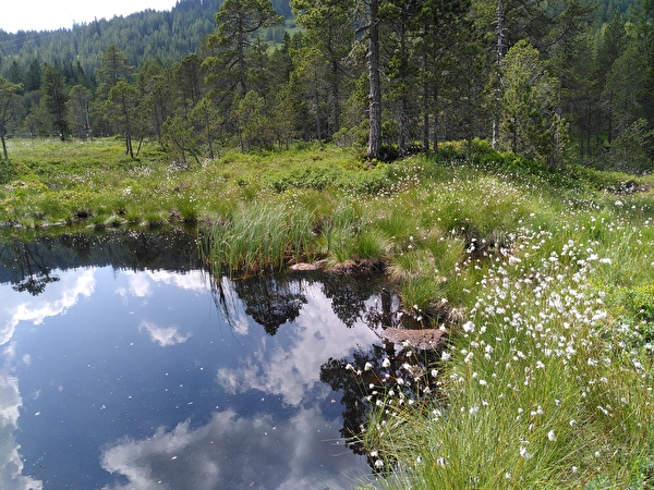 Hochmoor Glaubenberg