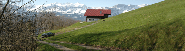Richtlinien Fahrbewilligung