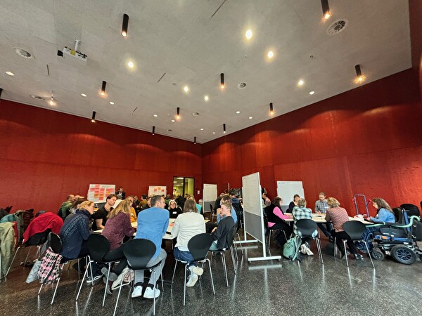 Workshop Behindertenstrategie vom 6. Februar 2025