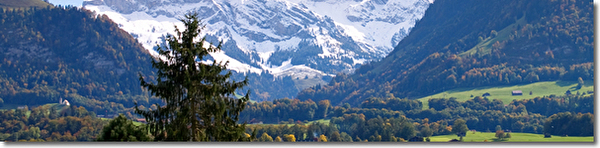 Wald in Obwalden