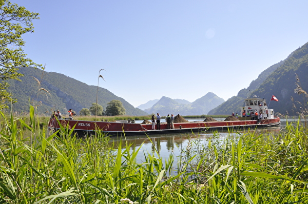 Das Schiff „Reuss“ am Südufer des Alpnachersees vor der Entladung anlässlich des Spatenstichs des Projekts Aufwertung Südufer Alpnachersee vom 24. Juni 2019 mit den Projektbeteiligten in der Mündungsbucht der Sarneraa.