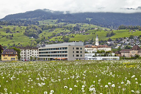 Projektstand und Zeitplan