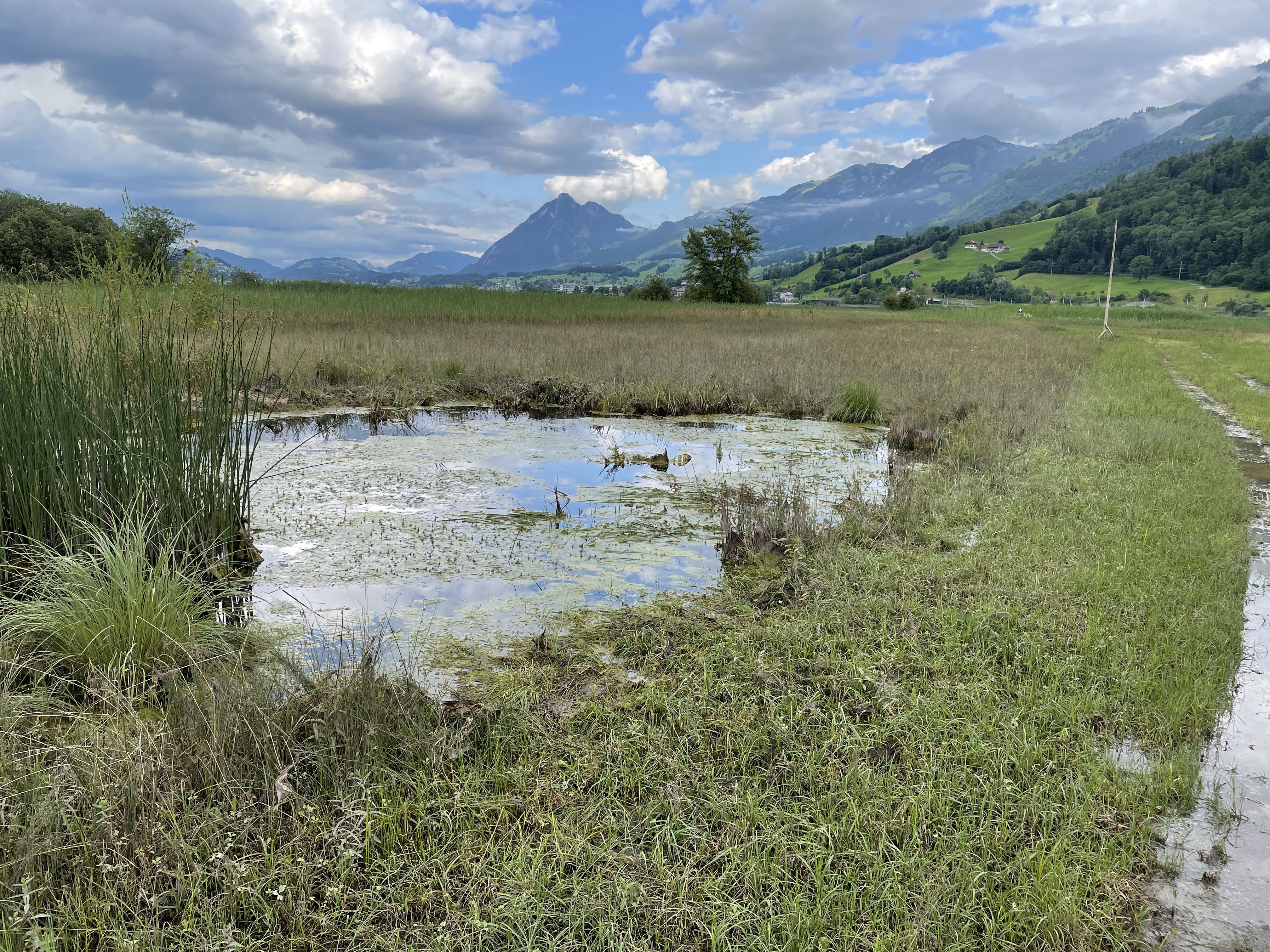 ökologische Infrastruktur