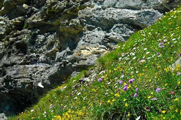 Landschaft Obwalden