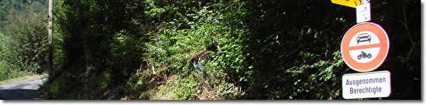 Fahrverbot im Wald