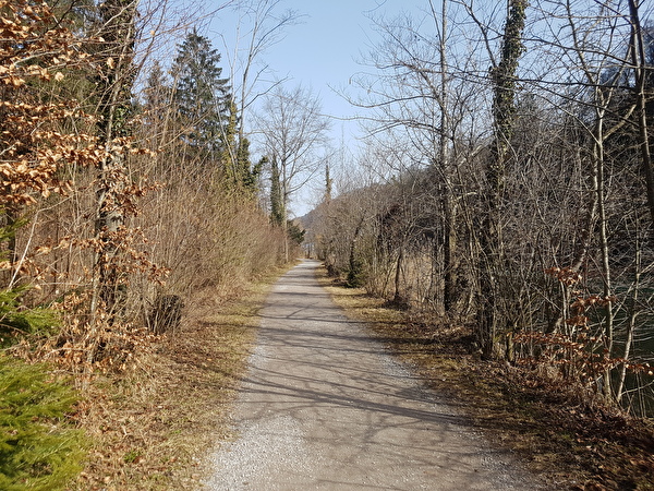 Bild vom Wichelsee-Weg