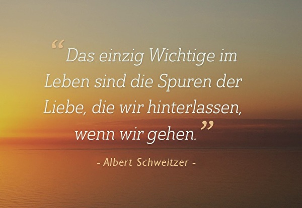 Spruch Albert Schweizer