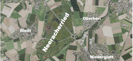 Neeracherried
