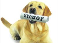 Bild Hundesteuer