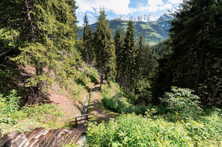 Bisse Ravines