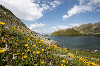 Lac des Vaux