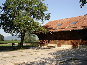 Tratthof