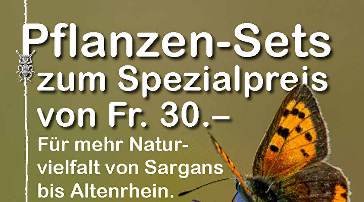 Pflanzen Sets Pro Riet