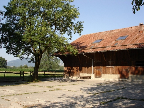 Weitere Informationen über die Ortsgemeinde Balgach finden Sie <LINK http://www.balgach.ch/de/politik/politikortsgem/>hier</LINK>.