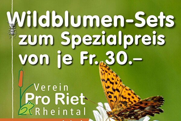 Pflanzen Sets Pro Riet