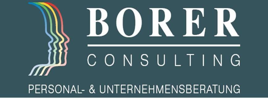 Borer Consulting