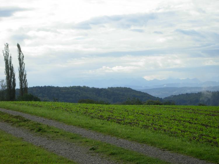 Weitsicht2