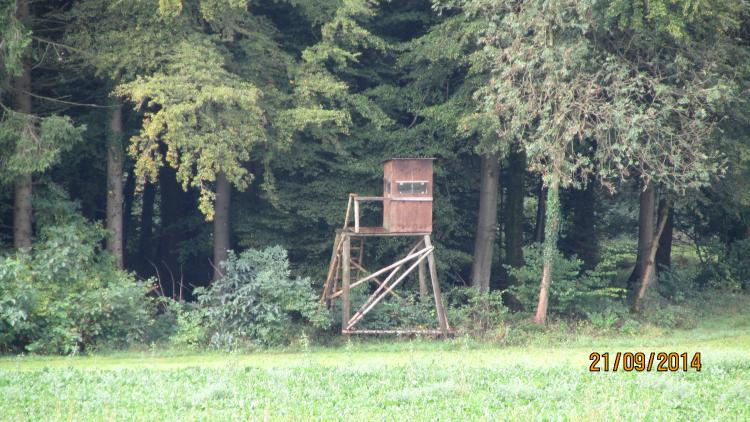 Hochsitz