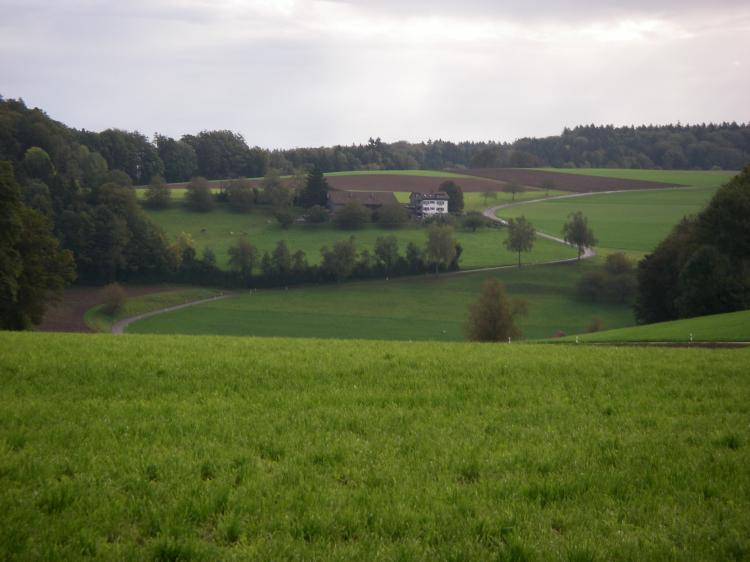 Sicht auf Althaus